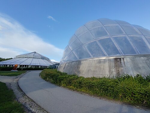Væksthusene, Gewächshäuser des Botanischen Gartens Aarhus (Tropenhaus), Aarhus