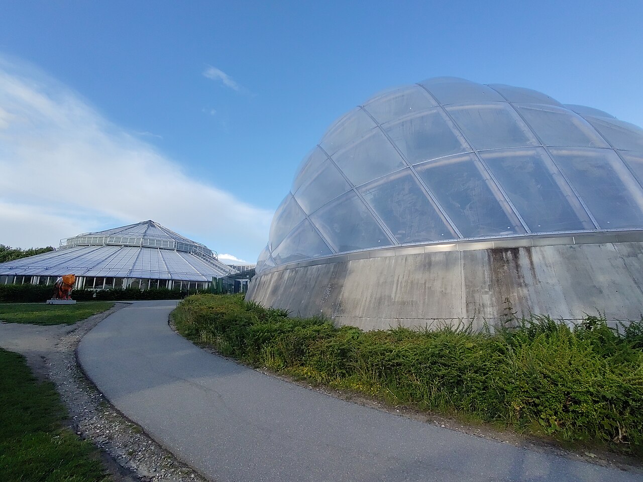 Væksthusene, Gewächshäuser des Botanischen Gartens Aarhus (Tropenhaus), Aarhus, Mitteljütland
