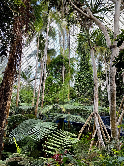 Bicentennial Conservatory, Adelaide Botanic Garden