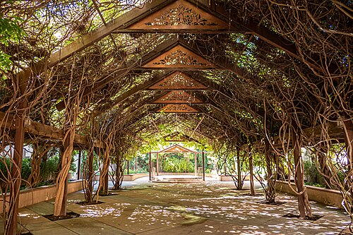 Desert and Mediterranean Conservatories (ABQ BioPark Botanic Garden), Albuquerque, New Mexico