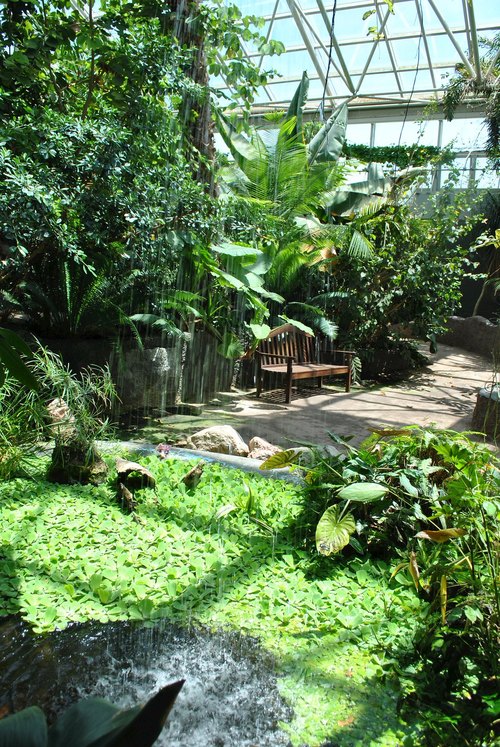 Mary E. Bivins Tropical Conservatory (Amarillo Botanical Gardens), Amarillo, Texas