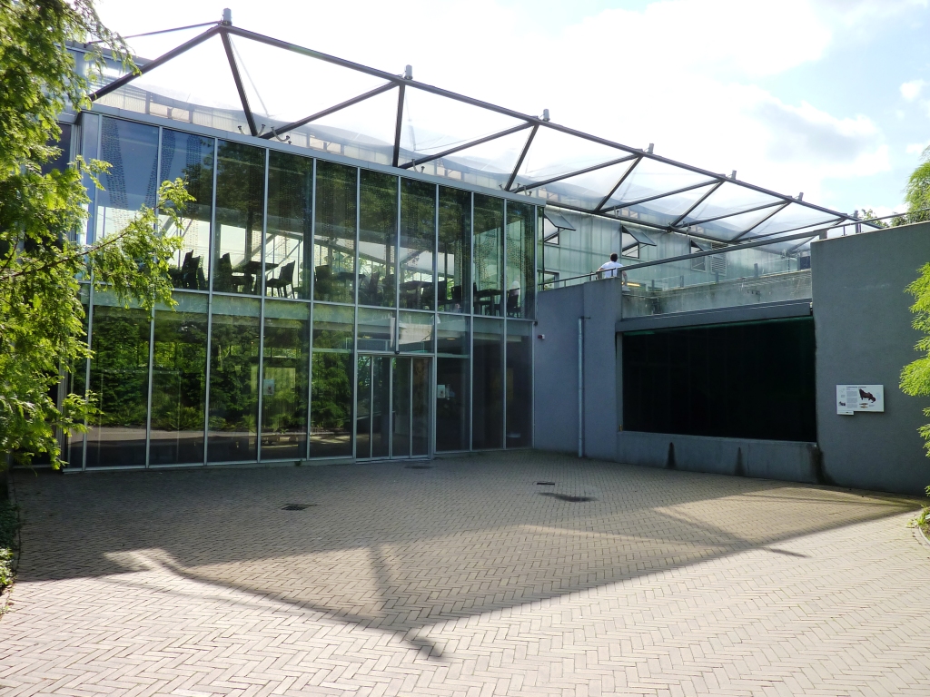 Vlinderpaviljoen (Schmetterlingspavillon), ARTIS Royal Zoo, Amsterdam (Plantage)