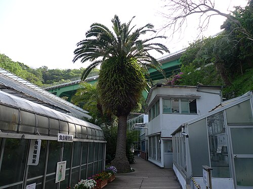 Atagawa Tropical & Alligator Garden (熱川バナナワニ園), Higashi-Izu, Präfektur Shizuoka