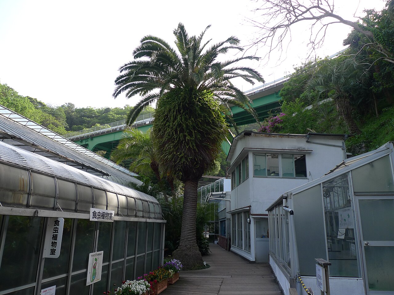 熱川バナナワニ園, 静岡県東伊豆町