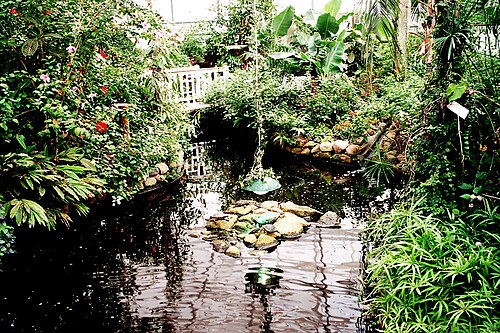 蝶の庭（Garten der Schmetterlinge）、フリードリヒスルー, シュレースヴィヒ＝ホルシュタイン州、フリードリヒスルー（アウミューレ）