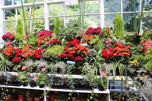 Belleisle Conservatory, Ayr, South Ayrshire (Scotland)