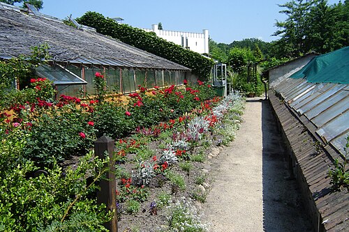 ムスカウ公園（ピュックラー公園バート・ムスカウ）の城付き庭園苗圃とパイナップル温室, ザクセン州バート・ムスカウ