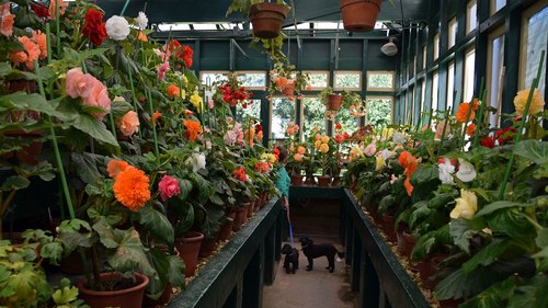 Begonia House, Machattie Park, Machattie Park, Bathurst, New South Wales