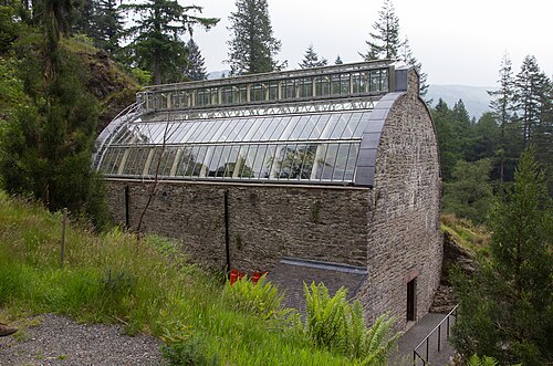 Benmore Fernery, Benmore bei Dunoon (Argyll), Schottland