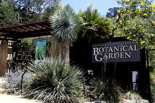 Virginia Haldan Tropical House (University of California Botanical Garden), Berkeley, California