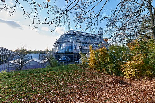 Großes Tropenhaus, Jardin botanique de Berlin-Dahlem