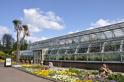 London Butterfly Gardens (Main Glasshouse), Hall Place, Bexley, London