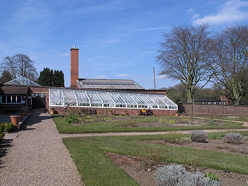 Gewächshäuser, Winterbourne House and Garden, Edgbaston, Birmingham (West Midlands)