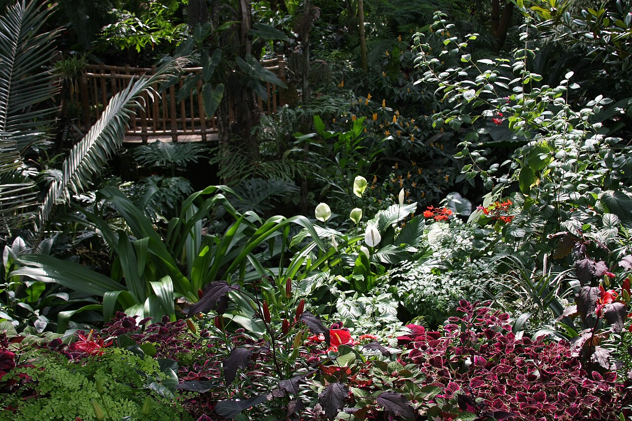 Bloedel Conservatory, Vancouver, Colombie-Britannique