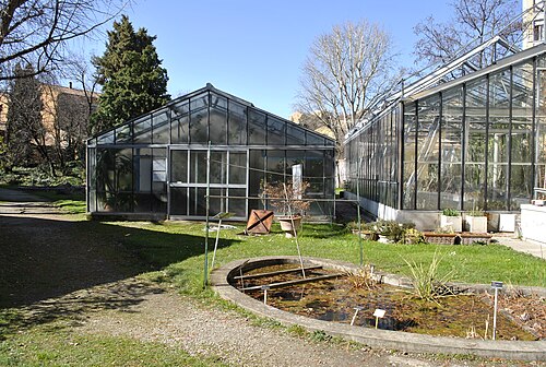 Tropen- und Sukkulentengewächshäuser (Serra Lodi) des Orto botanico der Universität Bologna, Bologna, Emilia-Romagna