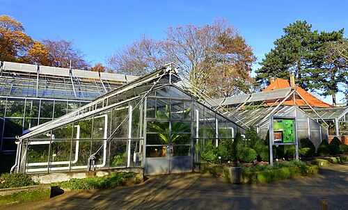 ブラウンシュヴァイク工科大学植物園の温室群（Botanischer Garten der TU Braunschweig）, ブラウンシュヴァイク、ニーダーザクセン州