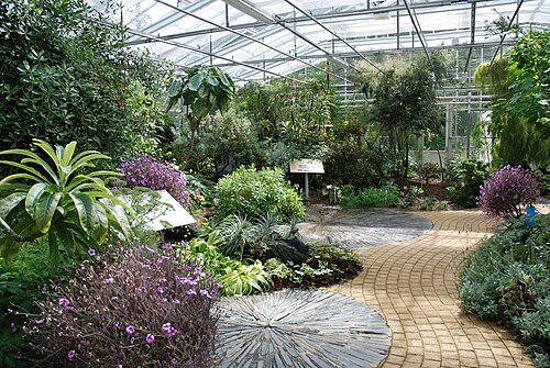 Serres tropicales du Conservatoire botanique national de Brest, Brest, Bretagne