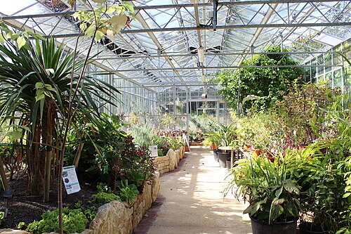 Gewächshäuser des University of Bristol Botanic Garden, Stoke Bishop, Bristol (England)