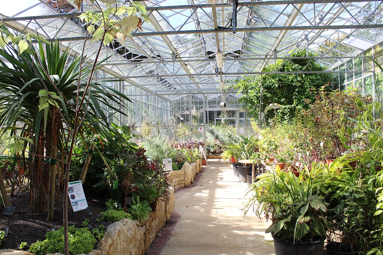 Gewächshäuser des University of Bristol Botanic Garden, Stoke Bishop, Bristol (England)