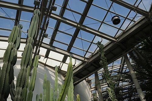 Gewächshaus des Botanischen Gartens Bucheon (부천식물원), Bucheon (Chunui-dong, Bezirk Wonmi), Gyeonggi