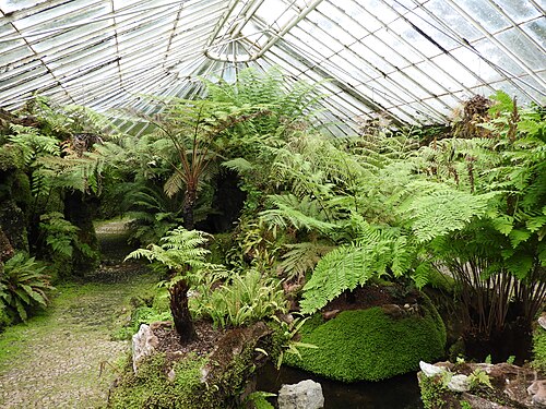 Viktorianisches Farnhaus von Ascog Hall, Ascog, Isle of Bute (Argyll and Bute), Schottland