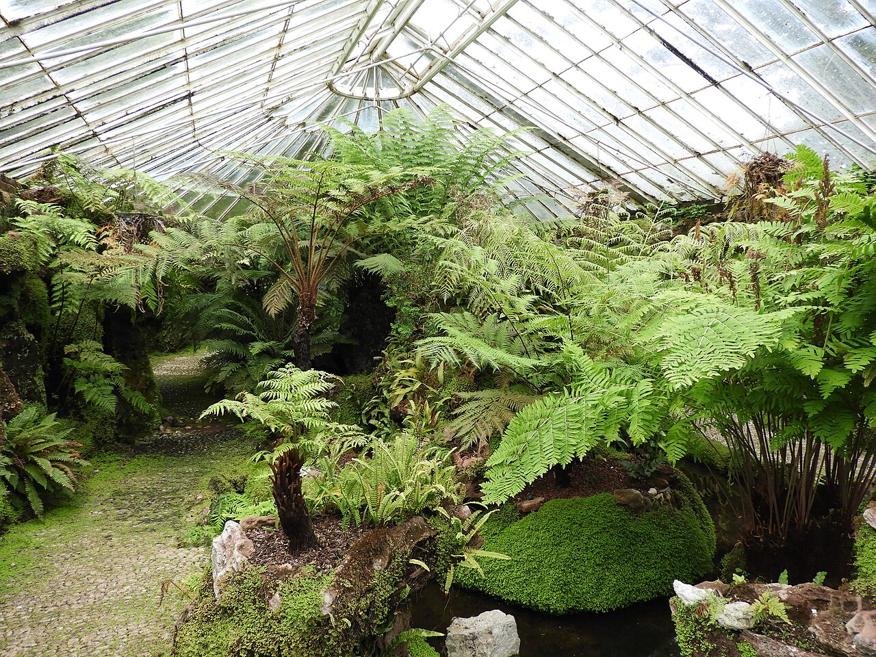 Viktorianisches Farnhaus von Ascog Hall, Ascog, Isle of Bute (Argyll and Bute), Schottland