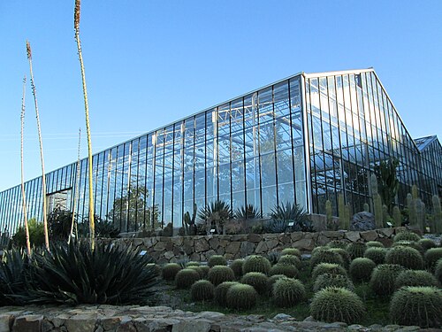 Gewächshaus des Botanischen Kakteen- und Sukkulentengartens Mora i Bravard, Casarabonela (Málaga)