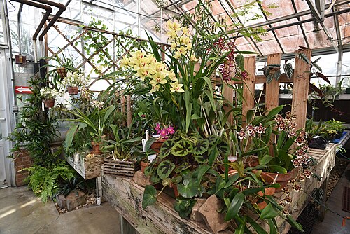 McMillan Greenhouse (UNC Charlotte Botanical Gardens), Charlotte, North Carolina