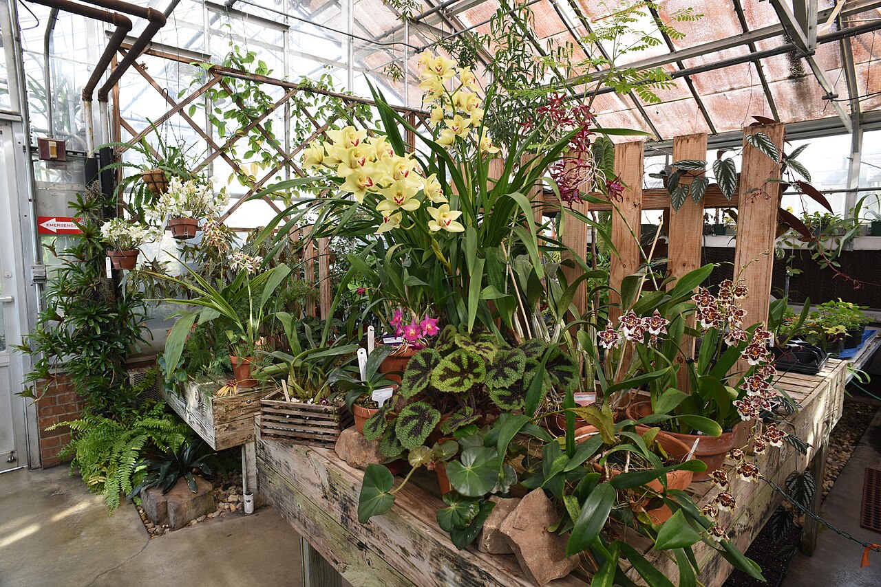 McMillan Greenhouse (UNC Charlotte Botanical Gardens), Charlotte, North Carolina