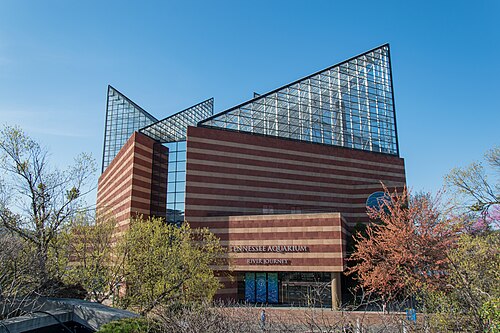 Appalachian Cove Forest (Tennessee Aquarium), Chattanooga, Tennessee
