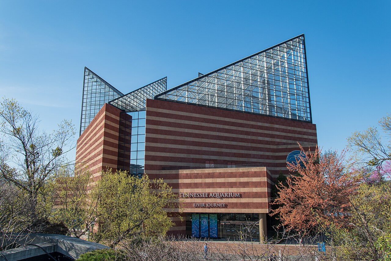 Appalachian Cove Forest (Tennessee Aquarium), Chattanooga, Tennessee