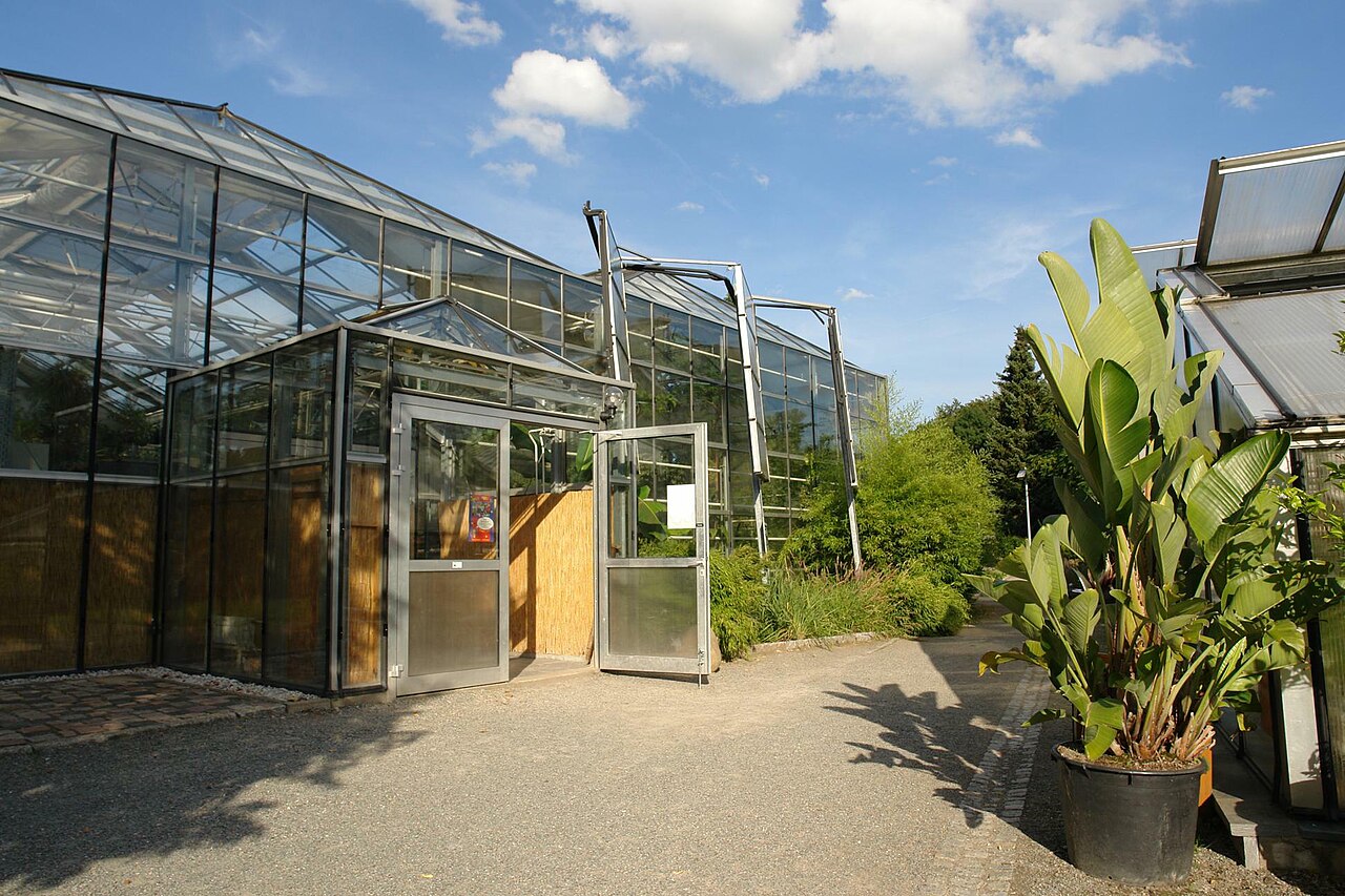Gewächshäuser des Botanischen Gartens Chemnitz (Botanischer Garten Chemnitz), Chemnitz, Sachsen