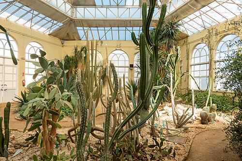 Gewächshäuser des Real Jardín Botánico de Córdoba (Amerika-, Zentral- und Orchideenhaus), Córdoba