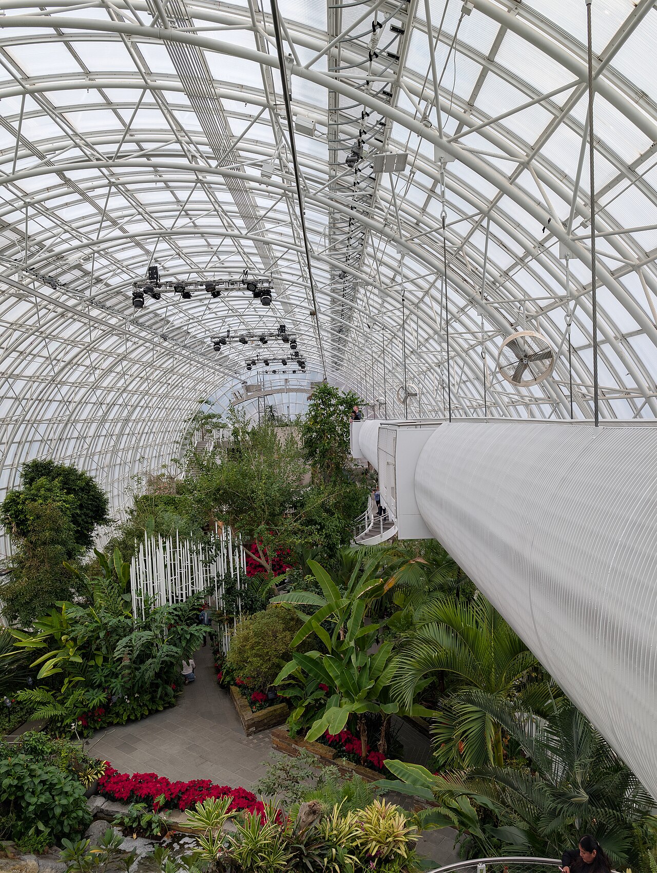 Crystal Bridge Tropical Conservatory, Oklahoma City, Oklahoma