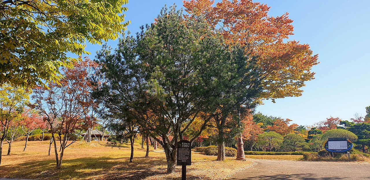 Jardin tropical de l'arboretum Hanbat (한밭수목원 열대식물원), Daejeon (Seo-gu)