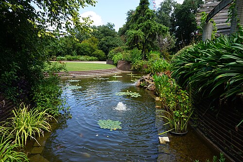 Rosine Smith Sammons Butterfly House and Insectarium (Texas Discovery Gardens), Dallas, Texas