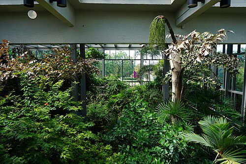 Rosine Smith Sammons Butterfly House and Insectarium (Texas Discovery Gardens), Dallas, Texas
