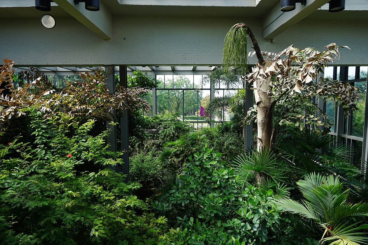 Rosine Smith Sammons Butterfly House and Insectarium (Texas Discovery Gardens), Dallas, Texas