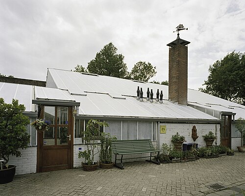 Palmkas (Palmenhaus) des Hortus Overzee, Den Helder