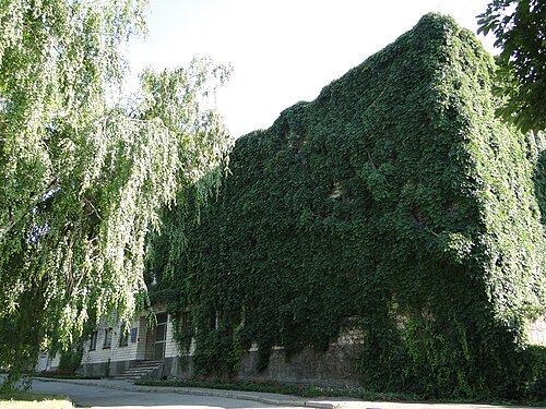 Exhibition Orangery of the Dnipro National University Botanical Garden (Ekspozytsiina oranzhereia), Dnipro, Dnipropetrovsk Oblast