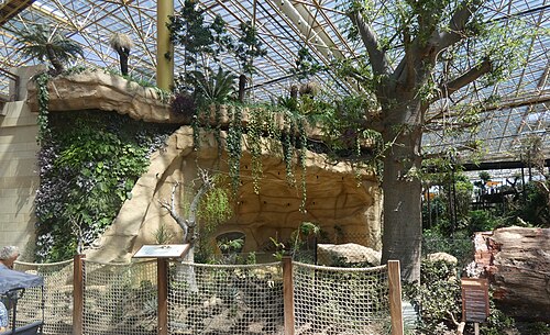 Edenya, Pairi Daiza, Brugelette