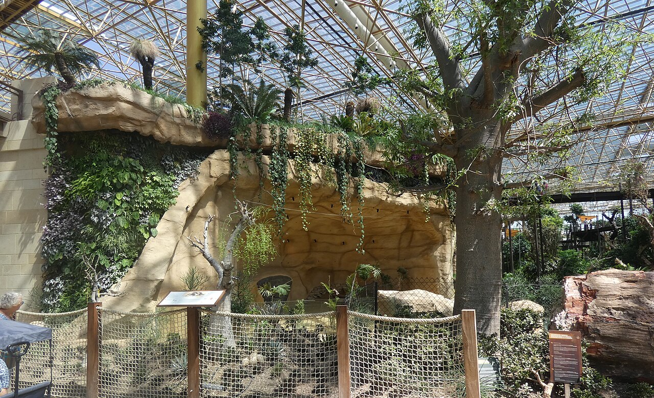 Edenya, Pairi Daiza, Brugelette