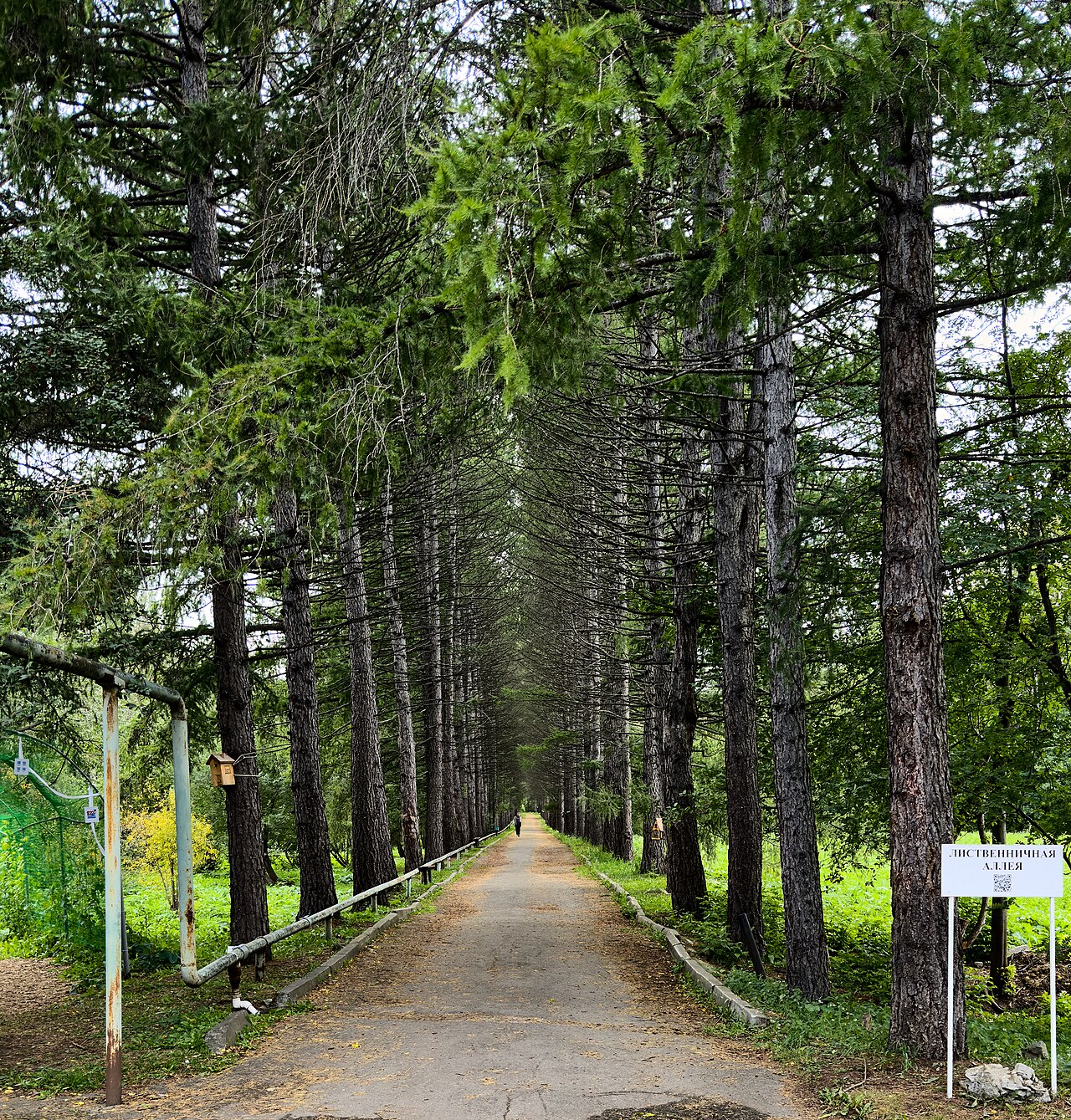 Serres du Jardin botanique de la branche de l'Oural de l'Académie des sciences (Botanitcheski sad UrO RAN), Iekaterinbourg, oblast de Sverdlovsk