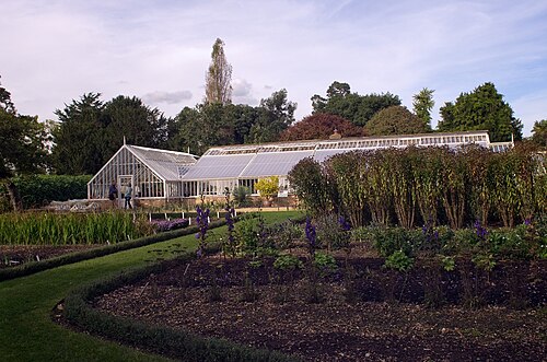 Rekonstruierte viktorianische Glashausreihe, Myddelton House Gardens, Enfield, London