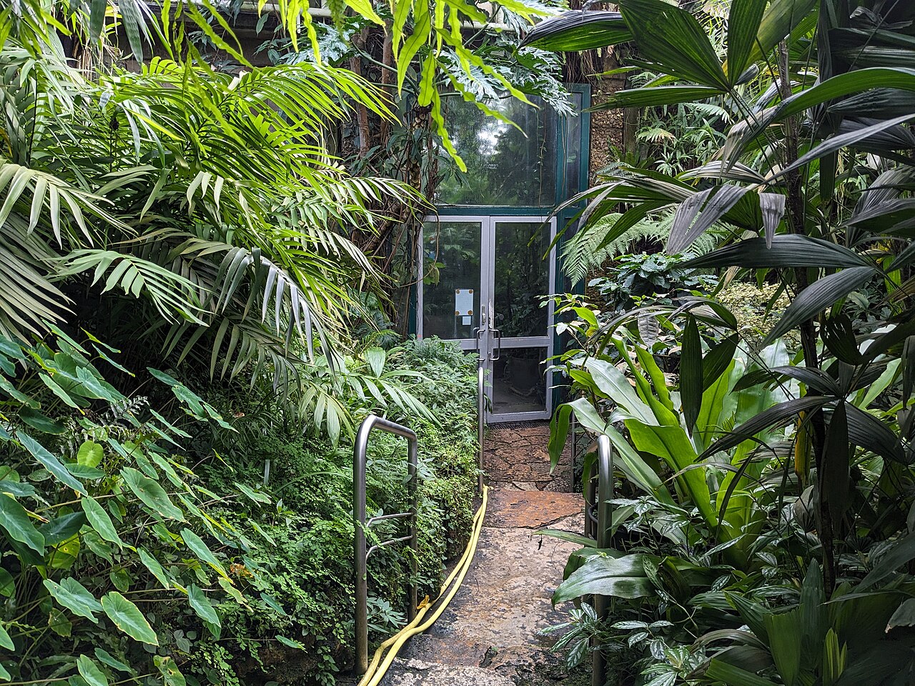 Serres du Jardin botanique d'Erlangen (Botanischer Garten Erlangen), Erlangen, Bavière