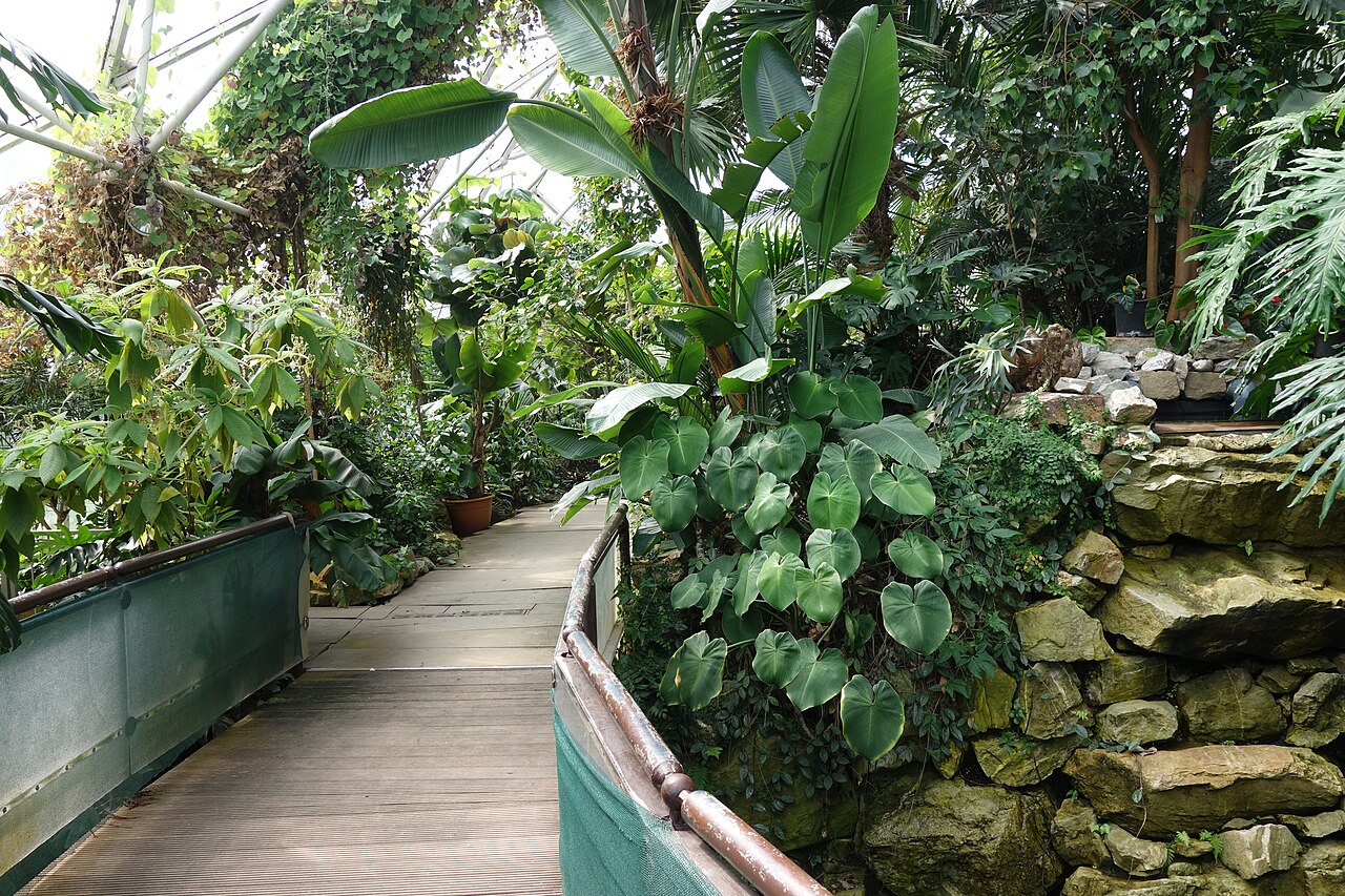 Pflanzenschauhäuser im Grugapark, Essen, Nordrhein-Westfalen