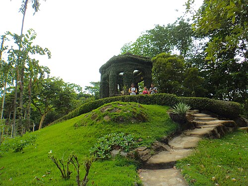Estufa das Bromélias Roberto Burle Marx, Rio de Janeiro