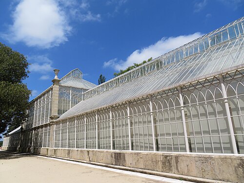 Großes Gewächshaus des Botanischen Gartens von Coimbra, Coimbra