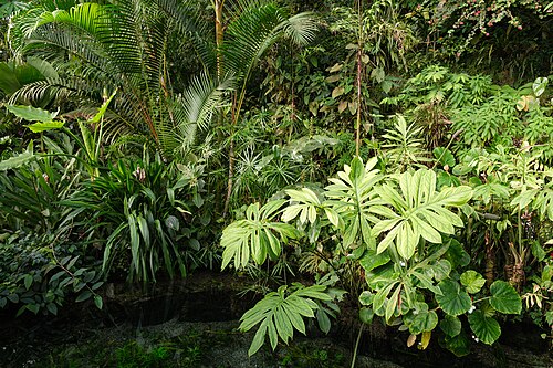 Serre Fata Morgana, Jardin botanique de Prague, Troja