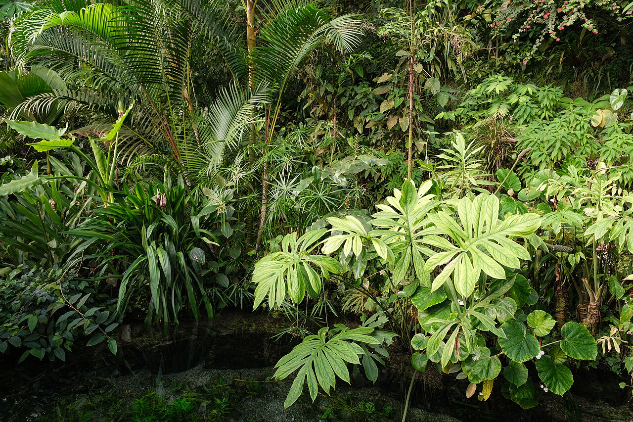 Serre Fata Morgana, Jardin botanique de Prague, Troja